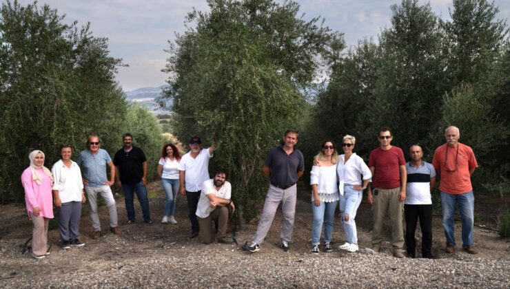 Mani̇sa Köprübaşı’nda Üreti̇len Hermus Zeyti̇nyağı Dünya 6.’sı Oldu