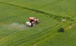 İİB’nin 9 Aylık İhracatı 9,2 Milyar Doları Aştı