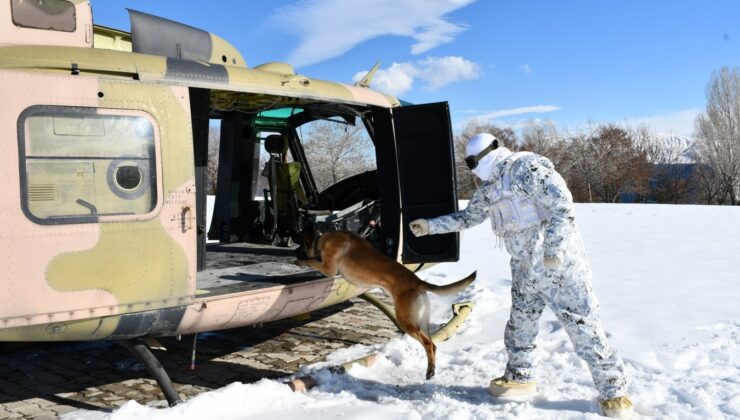 Komandoların Sadık Dostlarına Zorlu Şartlarda Eğitim: Derin Kar ve Şiddetli Soğukta Tatbikat