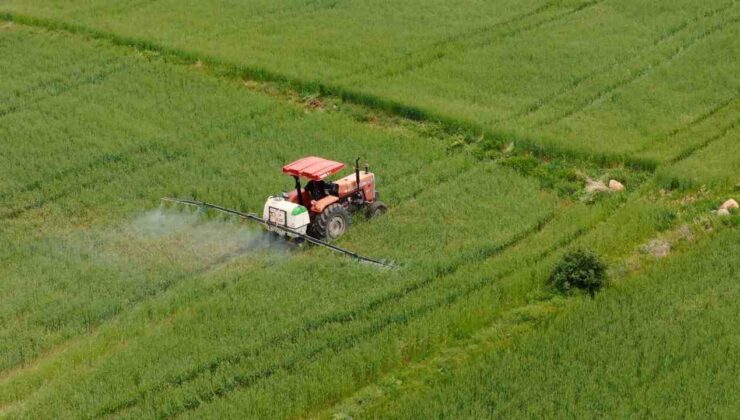 Son Yağışlar Su Kaynaklarına ve Tarıma Can Suyu Oldu