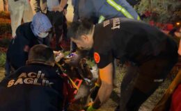 Van’da trafik kazası: 8 yaralı