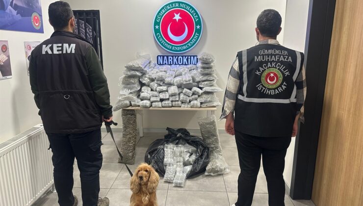 Ticaret Bakanlığı’ndan Uyuşturucu Kaçakçılığına Dev Darbe: 659 Kilo Madde Ele Geçirildi