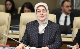 Tonami Köprüsü Çarşamba Günü Trafiğe Açılıyor