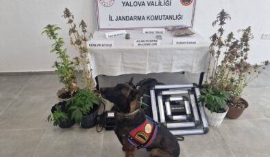 Yalova’da Evini Uyuşturucu Seralarına Çeviren Şüpheli Yakalandı: İklimlendirme Sistemi Kurmuş